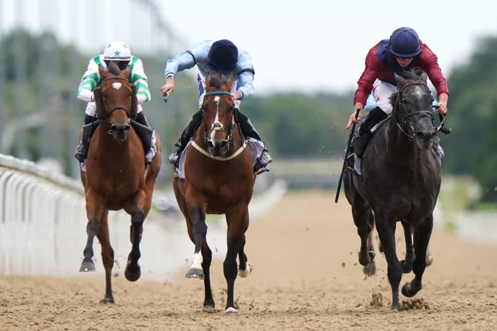 Spycatcher (blue) holds leading claims in the Betfred Park Stakes (Tim Goode/PA)