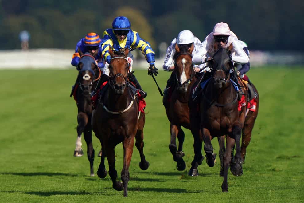Trueshan (left) was too good for Sweet William at Doncaster (Tim Goode/PA)