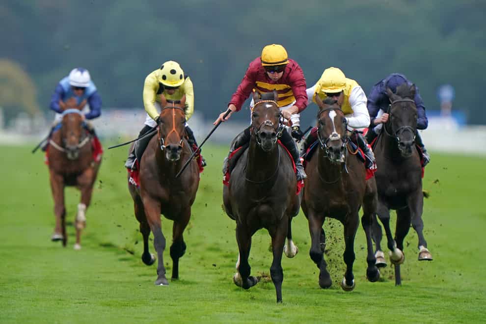 Iberian scooped Group Two honours at Doncaster (Tim Goode/PA)