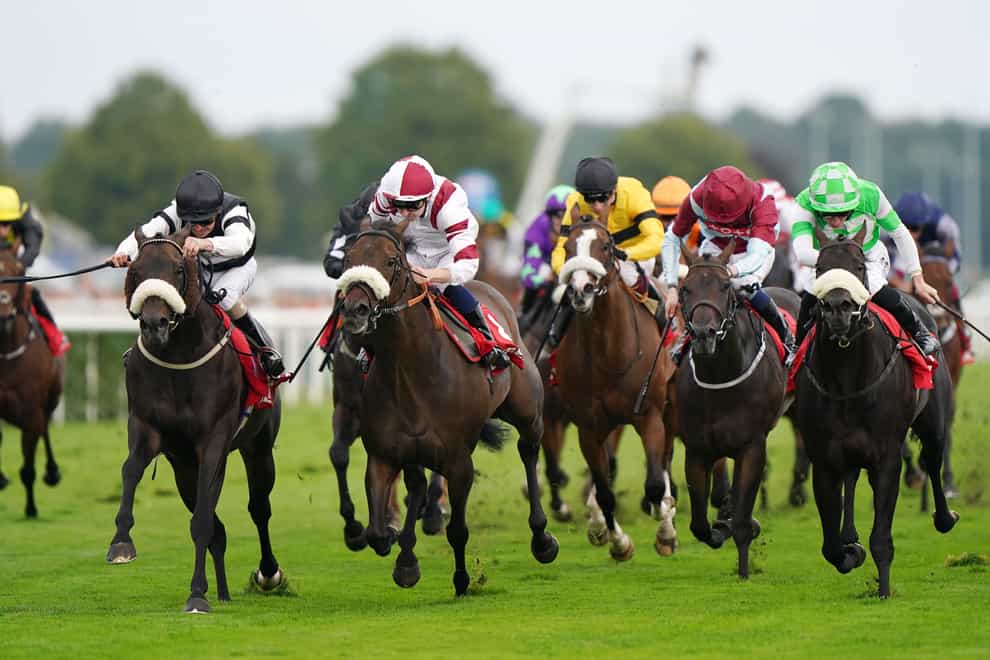 Significantly (left) in the Betfred Portland during the Betfred St Leger Festival at Doncaster Racecourse (Tim Goode/PA)
