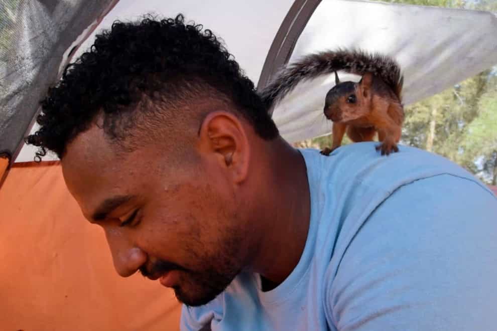 Niko, a pet squirrel, on the shoulder of Yeison in their tent at a migrant camp in Matamoros, Mexico (Valerie Gonzalez/AP)