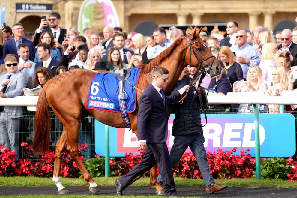 Desert Hero in the parade ring before the St Leger at Doncaster (Danny Lawson/PA)