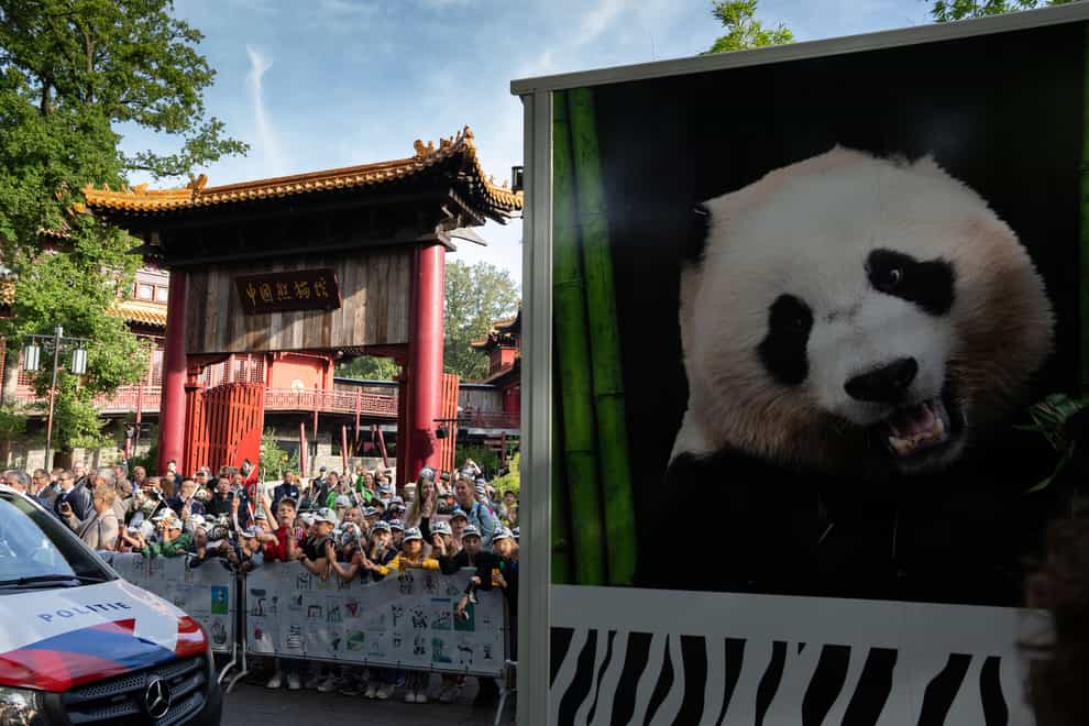 A van carrying giant panda Fan Xing leaves the zoo (Peter Dejong/AP)
