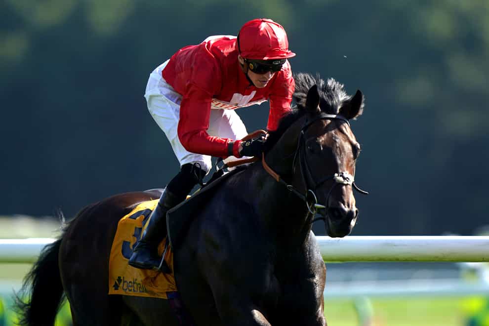 Chindit is searching for a hat-trick at Newmarket (Tim Goode/PA)