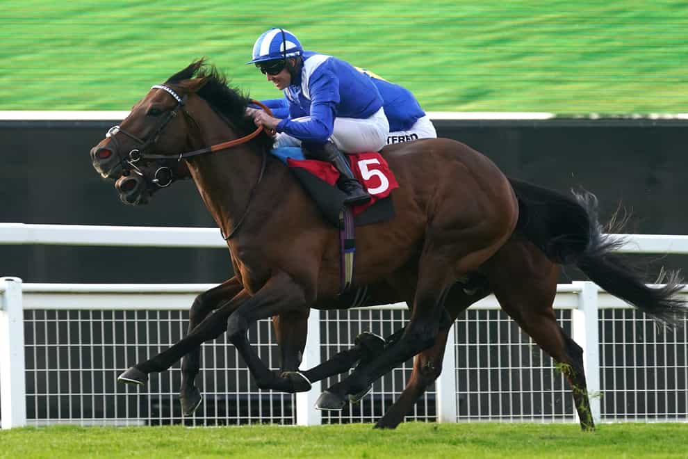 Hukum was unsuited by the ground in the Prix de l’Arc de Triomphe (Adam Davy/PA)