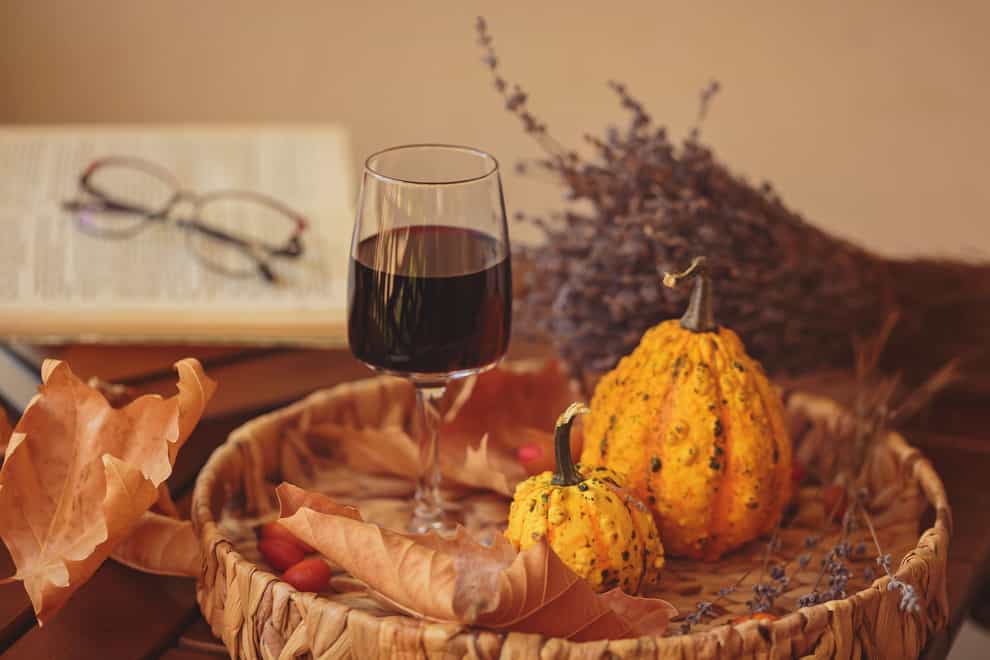 Welcome in autumn with these comforting wines (Alamy/PA)