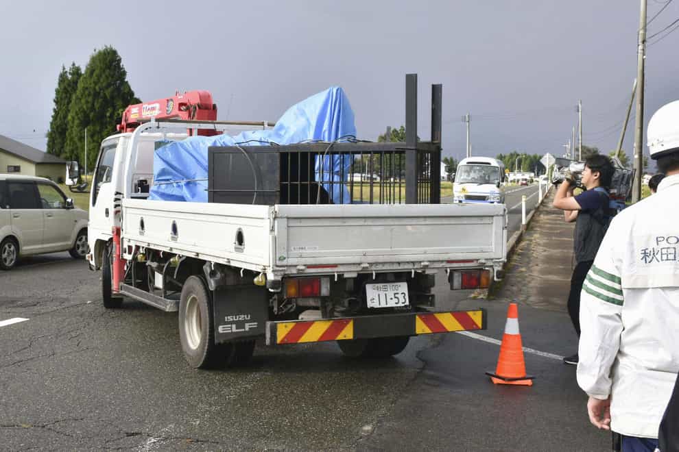 The bears were captured using cages and taken away on a pick-up truck (Kyodo News via AP)