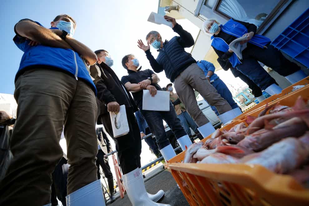 A team of experts from the International Atomic Energy Agency with scientists from China, South Korea and Canada observe the inshore fish during a morning auction at Hisanohama Port in Iwaki, northeastern Japan (Eugene Hoshiko/AP)