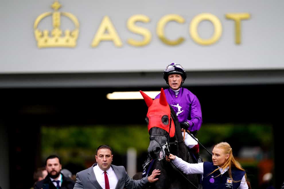 King Of Steel ridden by jockey Frankie Dettori is led out ahead of the Qipco Champion Stakes during the QIPCO British Champions Day at Ascot Racecourse, Berkshire. Picture date: Saturday October 21, 2023.