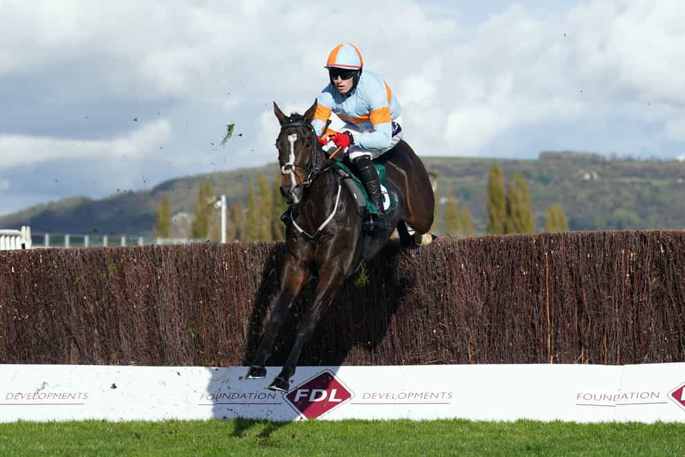 My Mate Mozzie on his way to victory at Cheltenham (Tim Goode/PA)