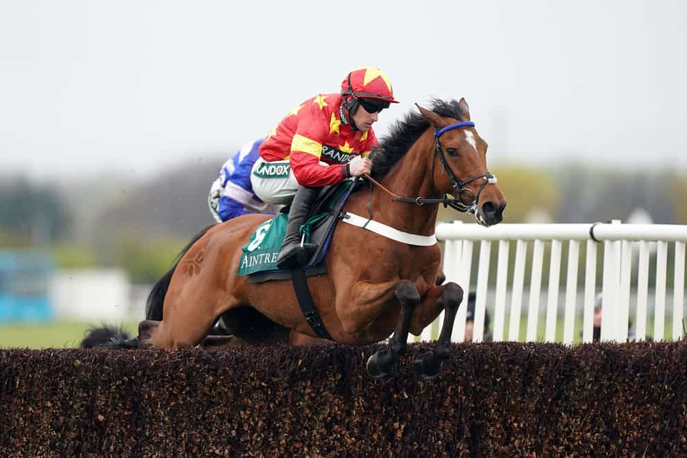 Minella Drama ran a good race on his return at Aintree (Mike Egerton/PA)