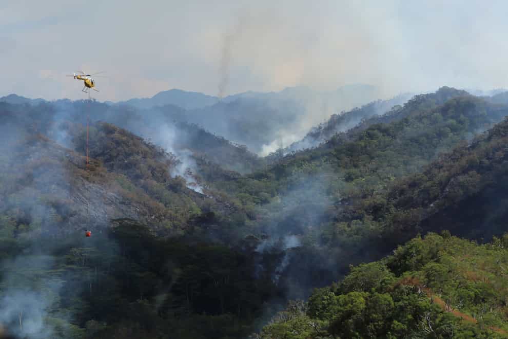 Helicopters have been dropping water to douse the wildfire (Dan Dennison/Hawaii Department of Land and Natural Resources via AP)