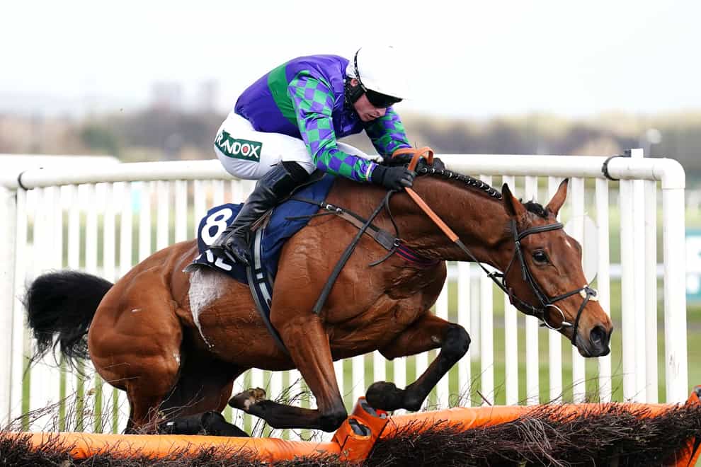 Thyme Hill in action at Aintree (Mike Egerton/PA)