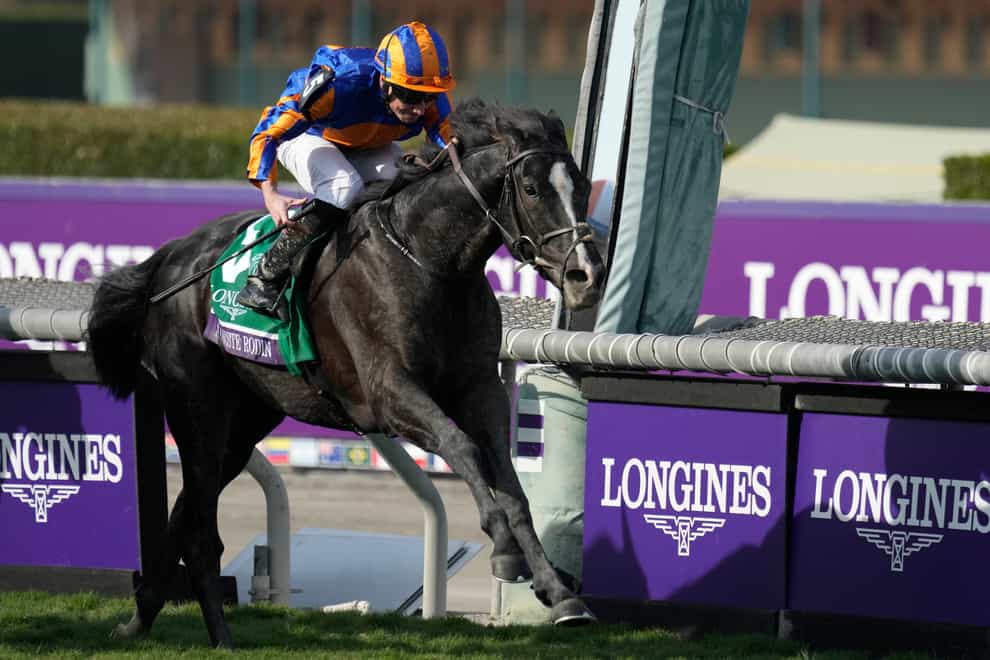 Ryan Moore rides Auguste Rodin to win the Breeders’ Cup Turf (AP Photo/Ashley Landis)