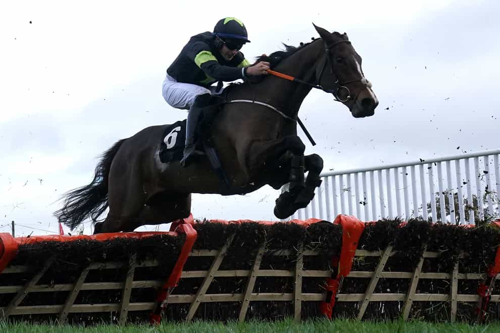 Magical Zoe is heading to Down Royal (Brian Lawless/PA)