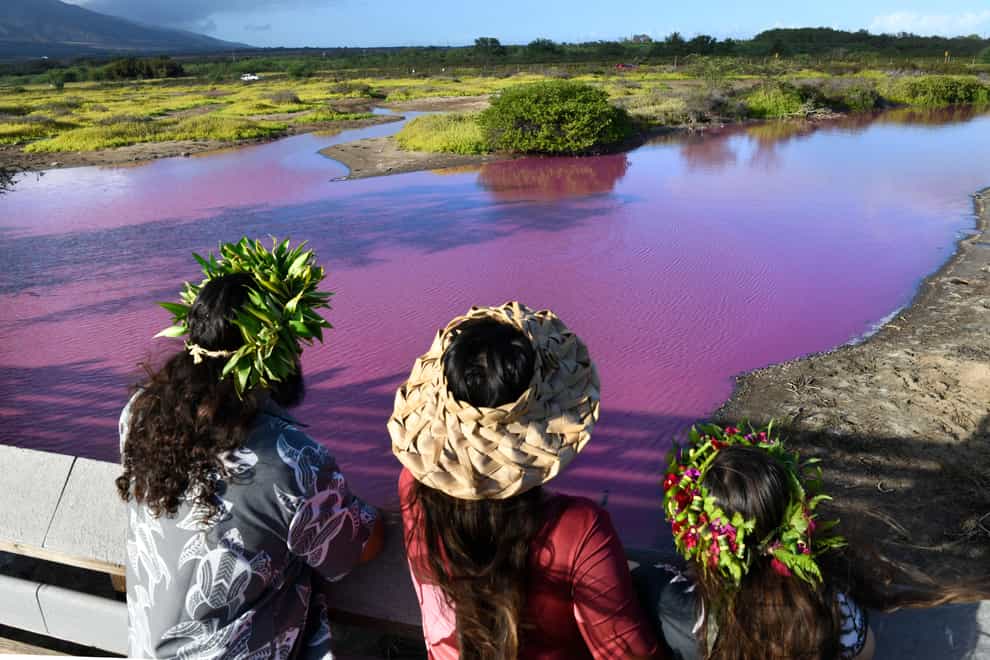 Shad Hanohano, from left, Leilani Fagner and their daughter Meleana Hanohano view the pink water at the Kealia Pond (Matthew Thayer/The Maui News via AP)