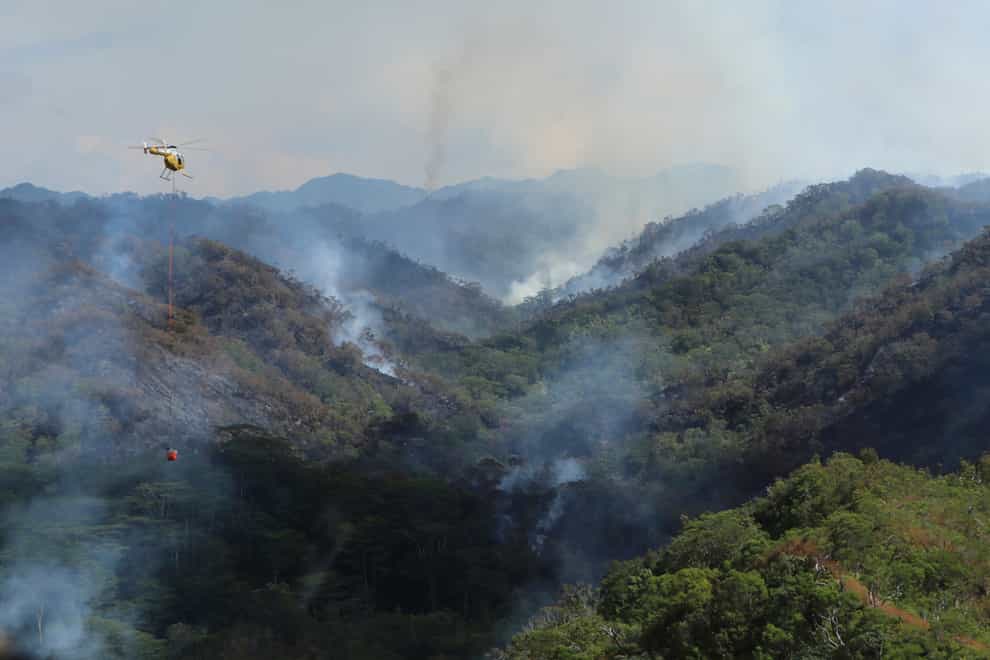 Water-carrying helicopters were used to try and douse the flames (Dan Dennison/Hawaii Department of Land and Natural Resources/AP)