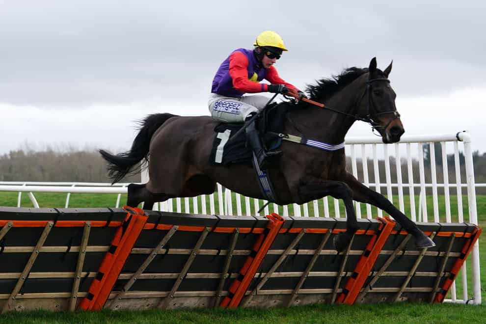 Dashel Drasher ridden by Rex Dingle jumps a fence before going on to win at Newbury (David Davies/PA)