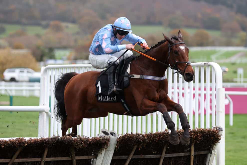 Cannock Park ridden by Craig Nichol wins The mallardjewellers.com Maiden Hurdle on day three of The November Meeting at Cheltenham Racecourse. Picture date: Sunday November 19, 2023.