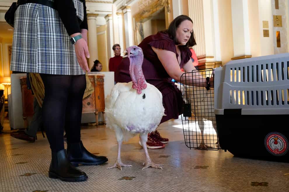 The two turkeys will receive the traditional pardon at the White House (AP)