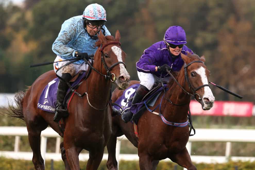 Slate Lane goes in search of a fourth-straight rules victory at Haydock (Damien Eagers/PA)