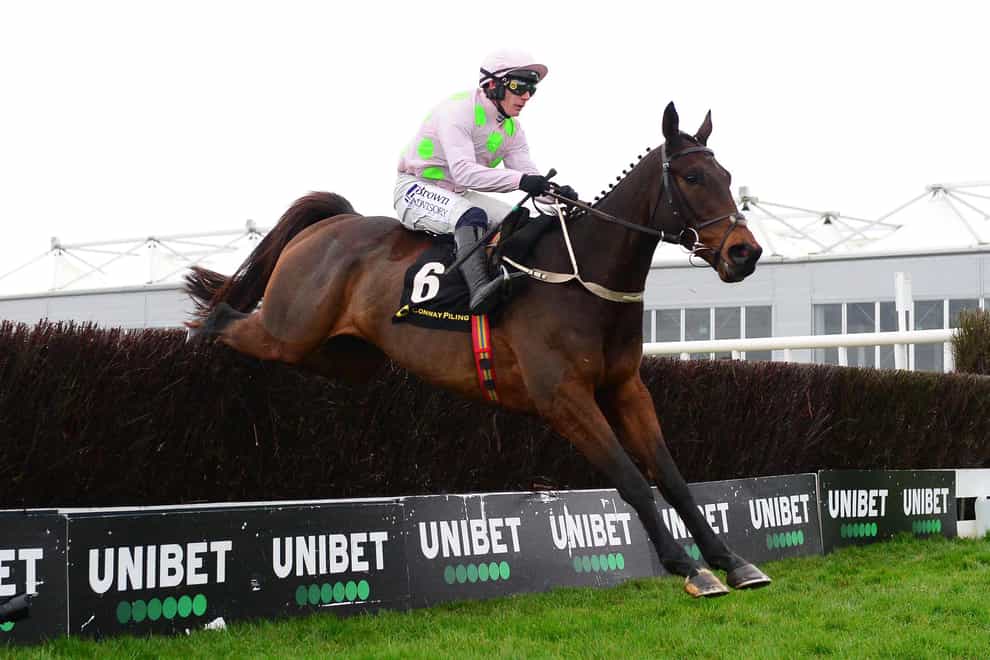Gaelic Warrior ridden by jockey Paul Townend on their way to winning the Conway Piling Beginners Chase during day one of the Punchestown Winter Festival at Punchestown Racecourse. Picture date: Saturday November 25, 2023.