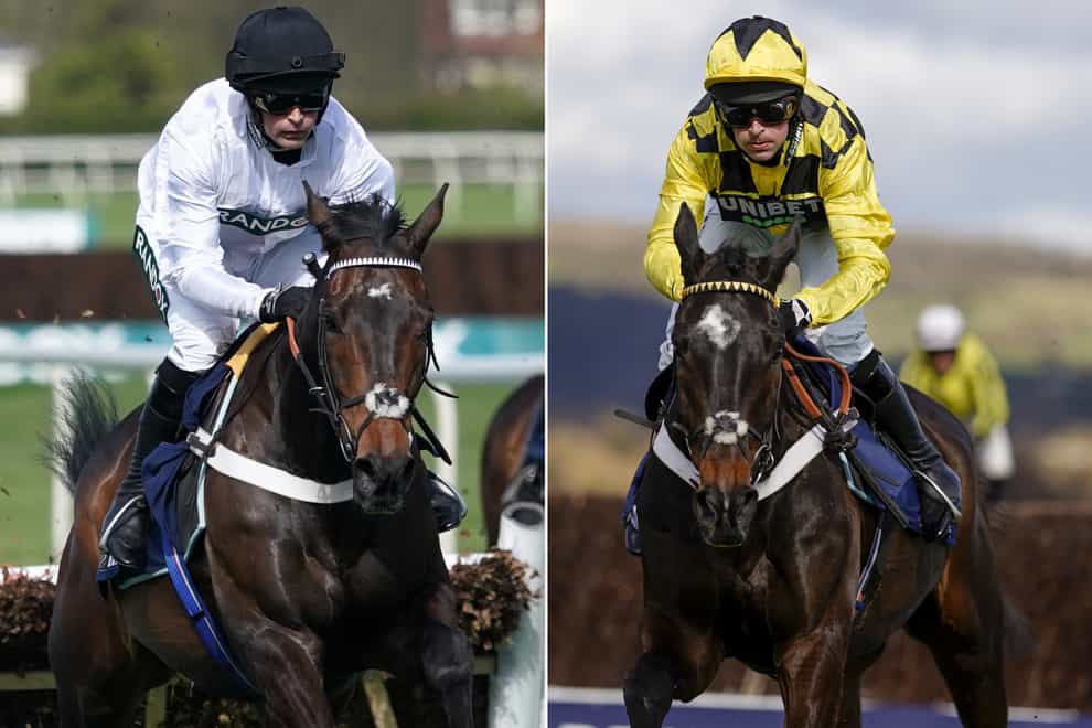 Constitution Hill and Shishkin are both entered at Newcastle on Saturday (PA)