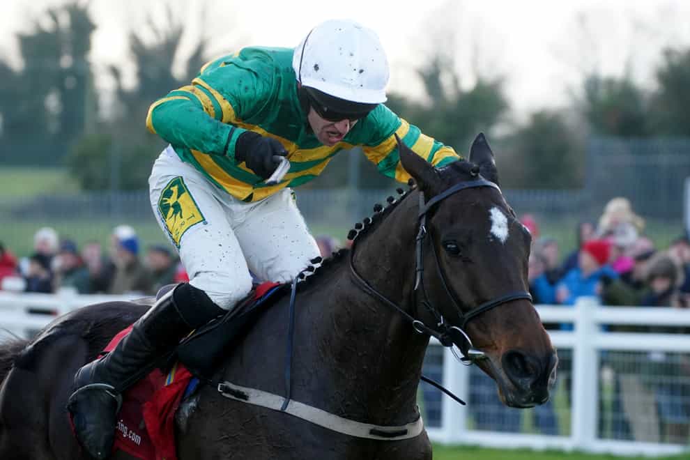 I Am Maximus emerged victorious in the Drinmore Novice Chase (Brian Lawless/PA)