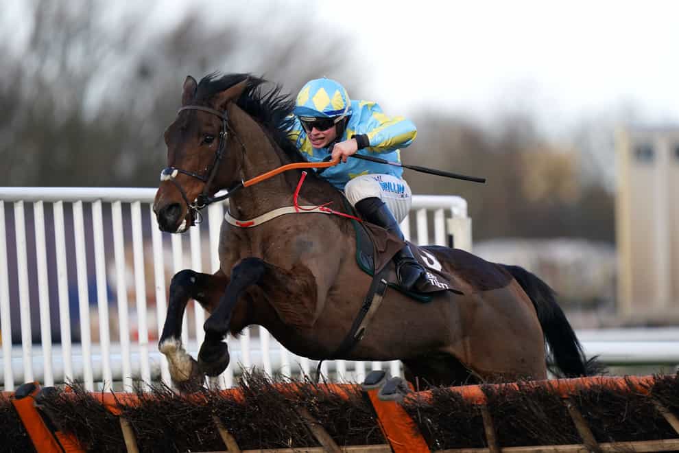 Mahler Mission in action over hurdles (Tim Goode/PA)