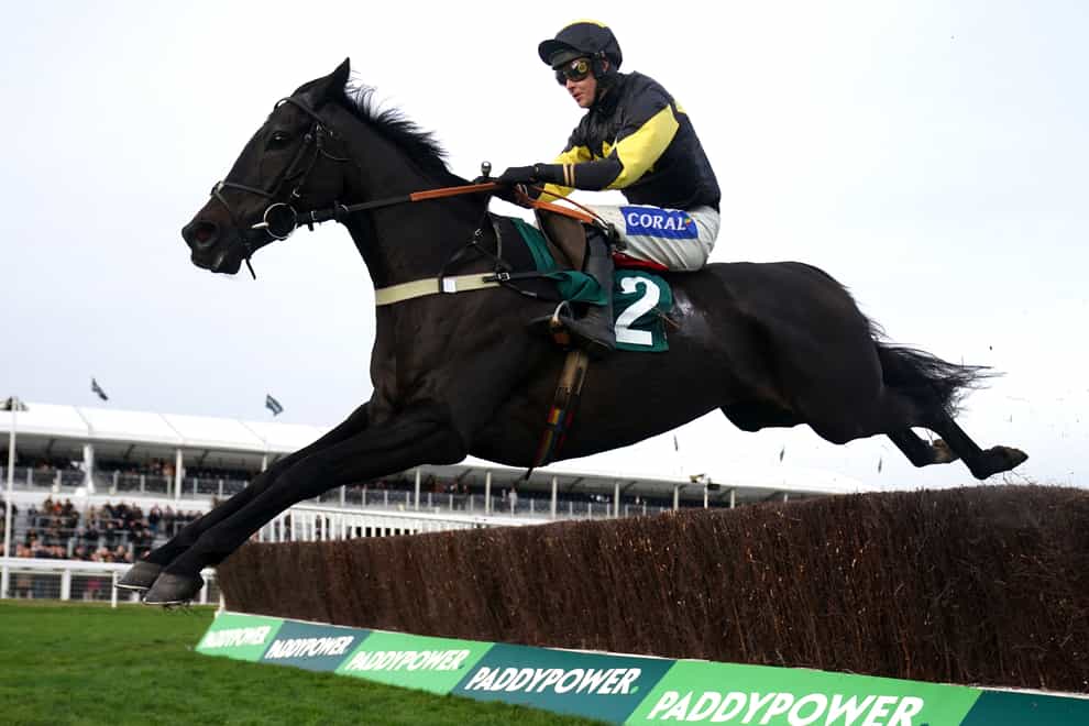 JPR One is an exciting novice chaser (David Davies/PA)
