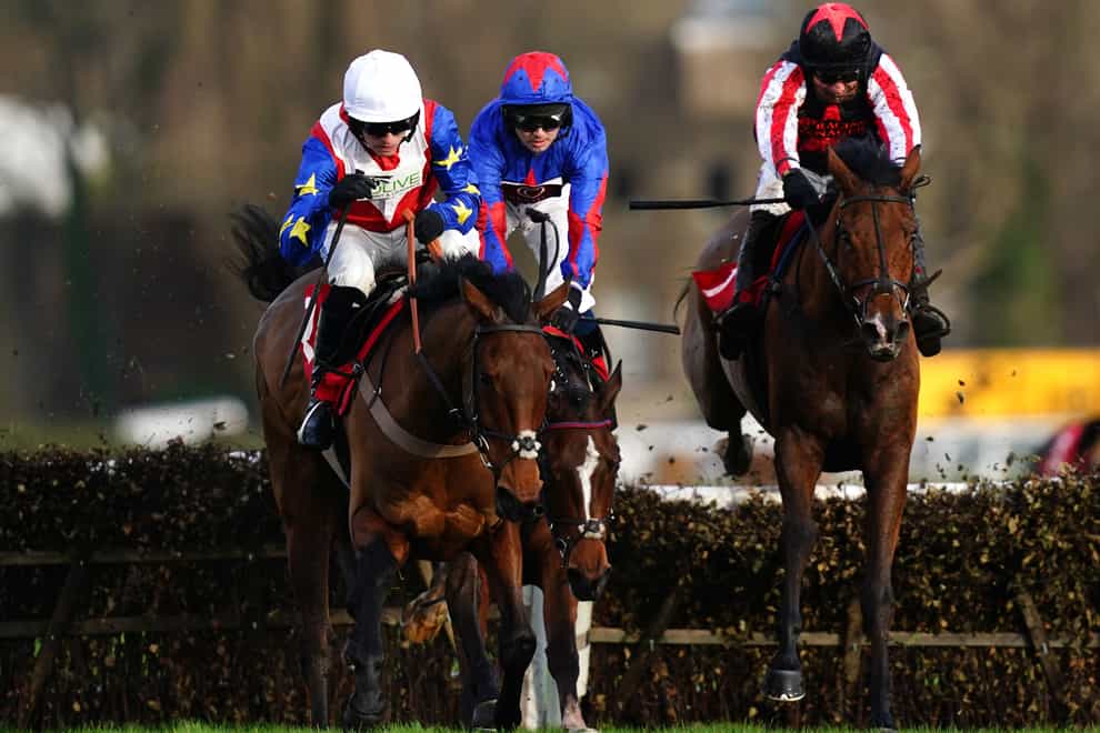Insurrection ridden by Harry Cobden (left) ahead of eventual winner Deafening Silence ridden by Harry Cobden (right) during the Betfair Beacons Winter Novices’ Hurdle during day one of The Betfair Tingle Creek Festival (John Walton/PA)
