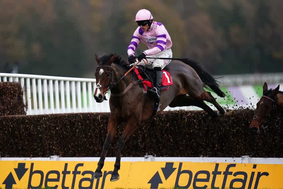 Stay Away Fay ridden by Harry Cobden wins The Betfair Esher Novices’ Chase during day one of The Betfair Tingle Creek Festival at Sandown Park Racecourse (John Walton/PA)
