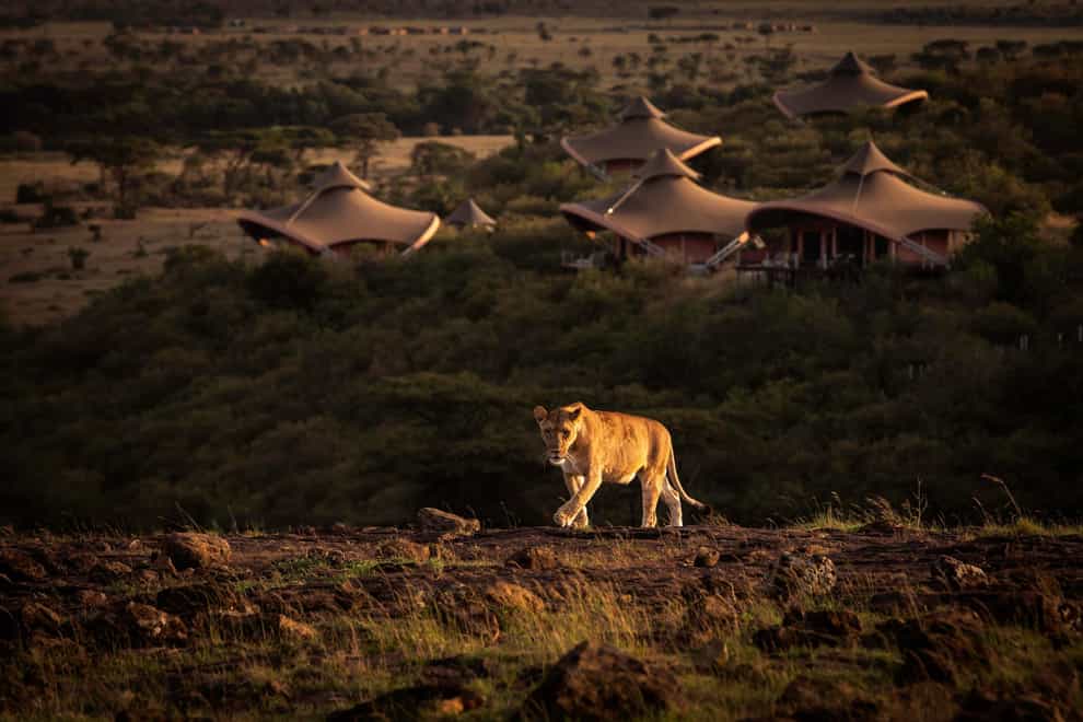Mahali Mzuri has a ‘front-row view of the wild’ (VLE/PA)