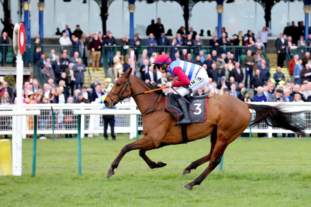 Thunder Rock is favourite for the December Gold Cup (Steve Walsh/PA)