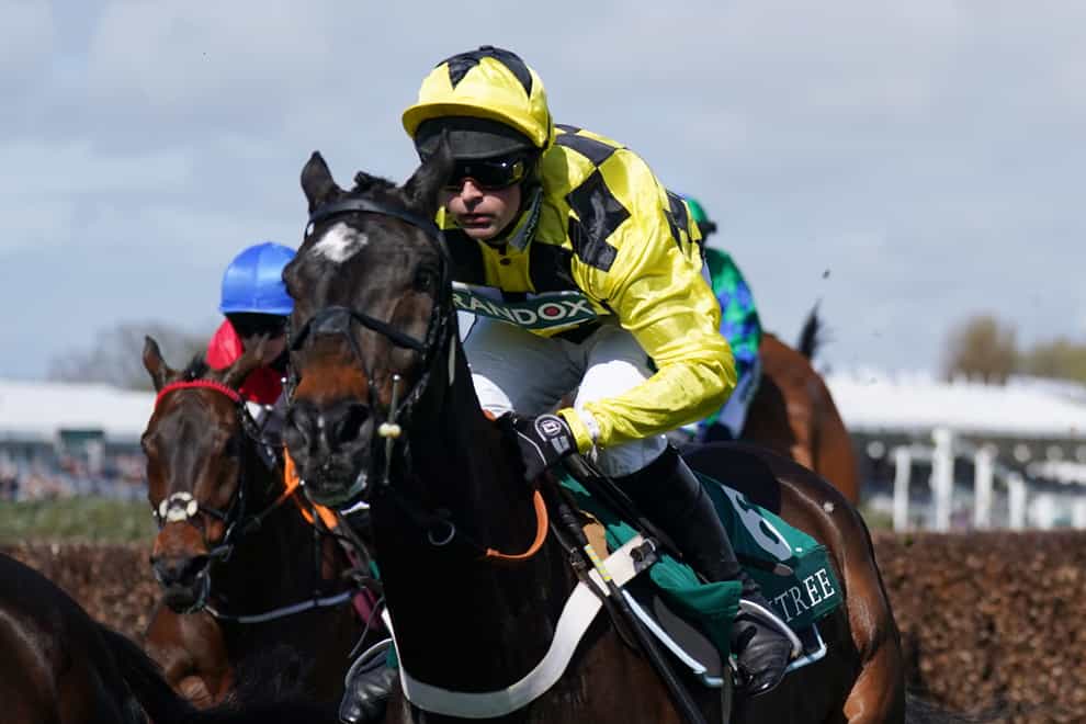 Shishkin ridden by Nico de Boinville in action at Aintree (Tim Goode/PA)