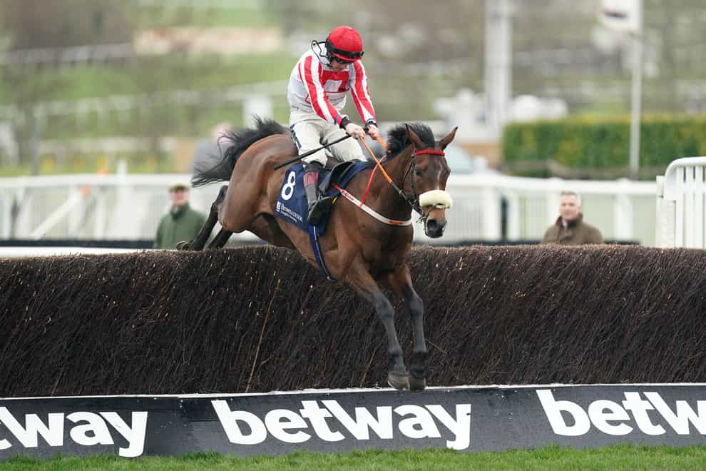 The Real Whacker in action at Cheltenham (Mike Egerton/PA)
