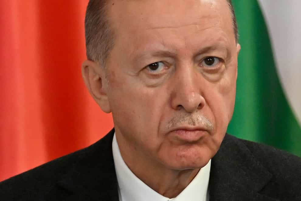 Turkey’s President Recep Tayyip Erdogan (Denes Erdos/AP)