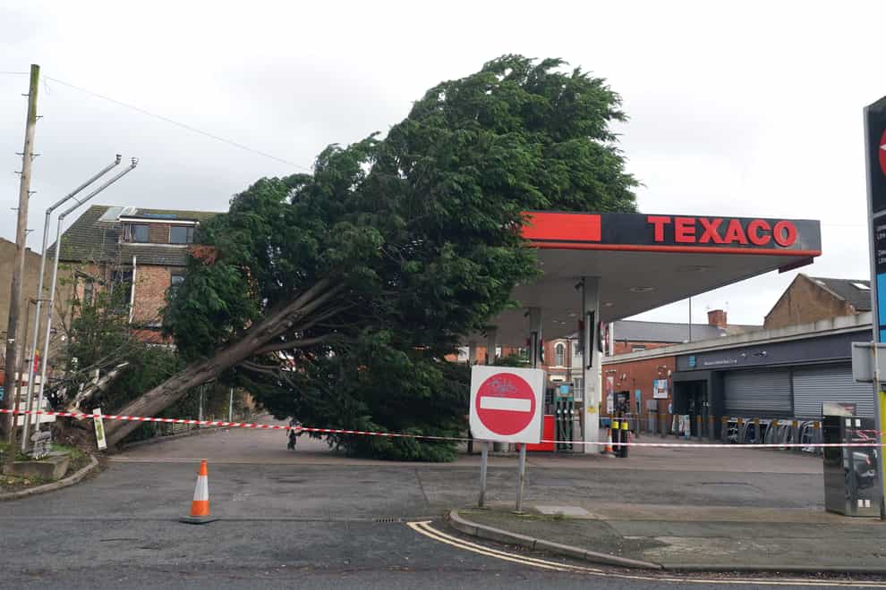 A tree fallen onto the roof of a Texaco petrol station in Derby during Storm Pia (Jacob King/PA)