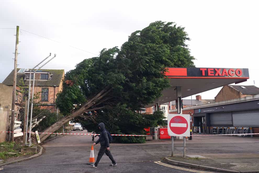 A tree fallen onto the roof of a Texaco petrol station in Derby (Jacob King/PA)