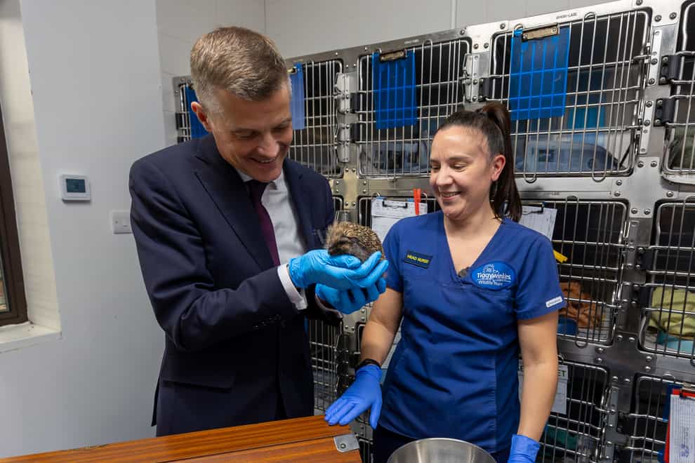 Mark Harper holding an injured hedgehog (Department for Transport/PA)