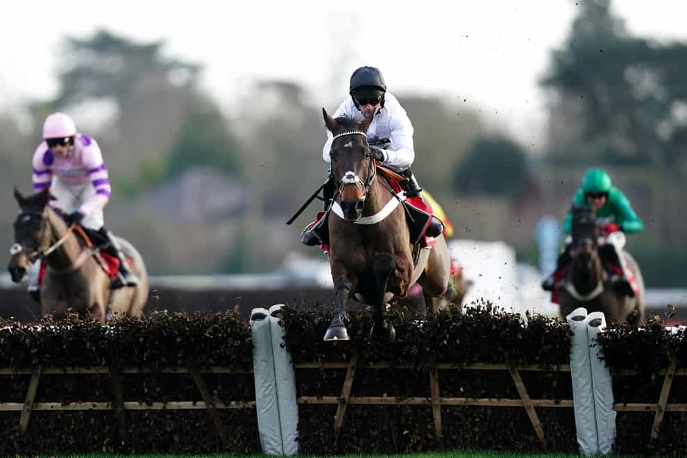 Constitution Hill ridden takes the last with the race won (John Walton/PA)