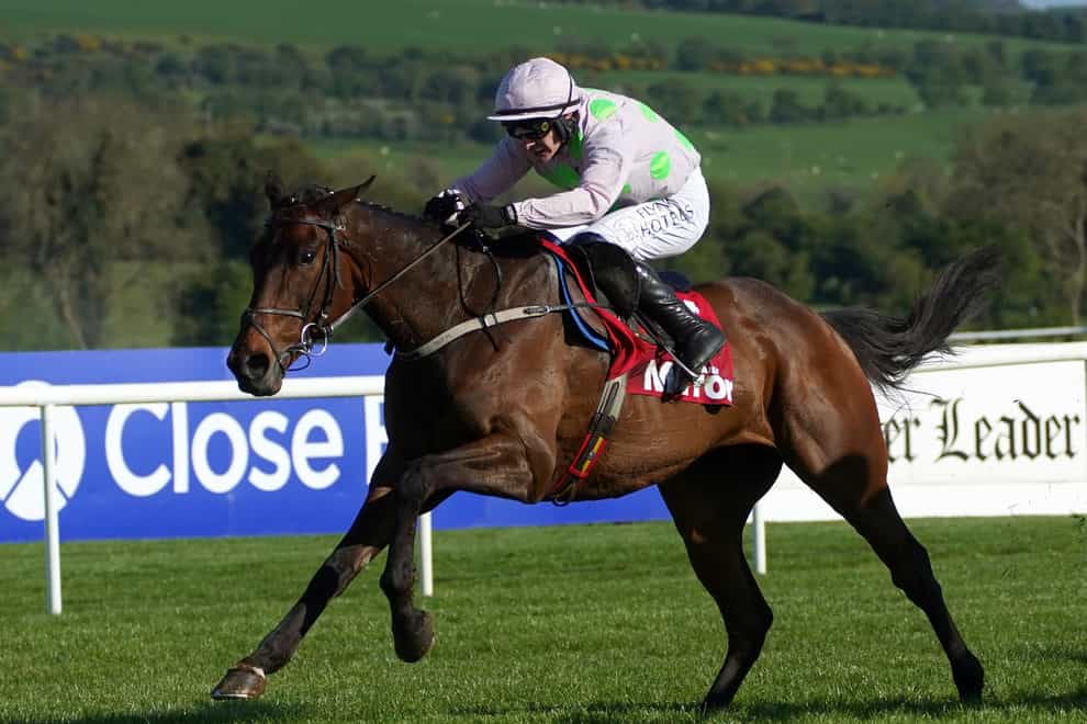 Gaelic Warrior was an easy winner at Limerick (Brian Lawless/PA)