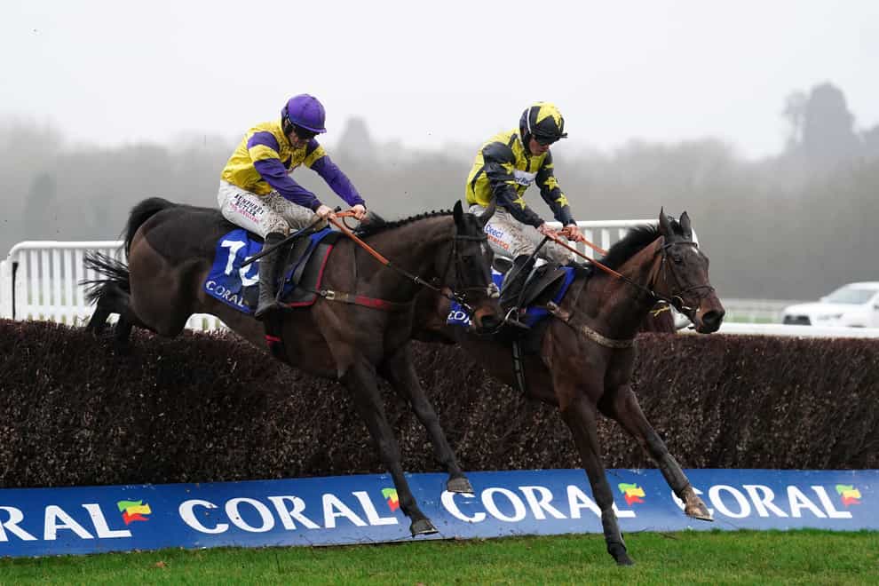 Surrey Quest (right) was a game winner at Newbury (David Davies/PA)