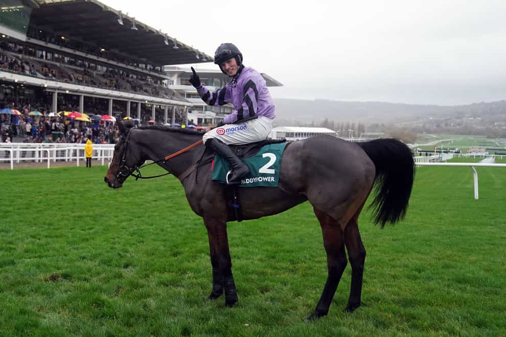 Stage Star and jockey Harry Cobden after winning the Paddy Power Gold Cup at Cheltenham (David Davies/The Jockey Club)