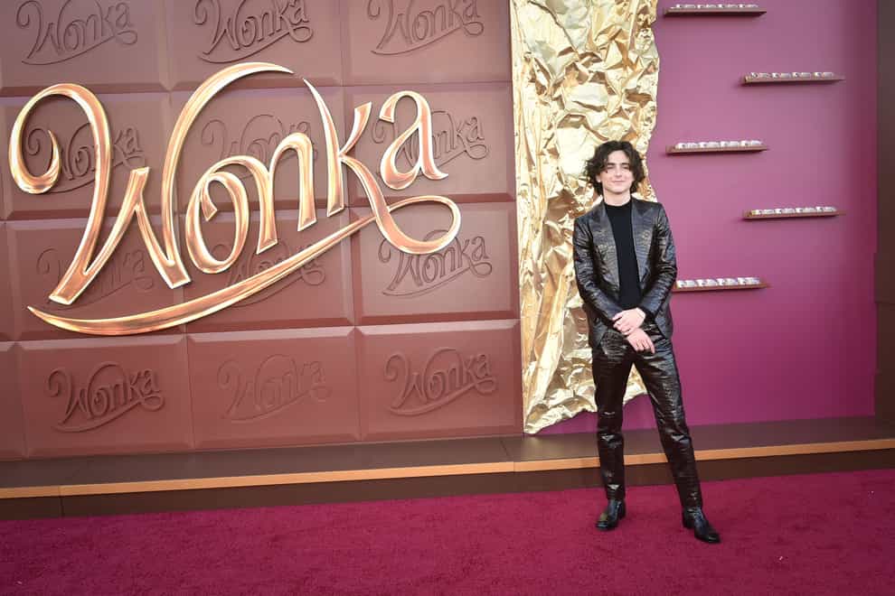 Timothee Chalamet arrives at the premiere of Wonka in Westwood, California (Richard Shotwell/Invision/AP)