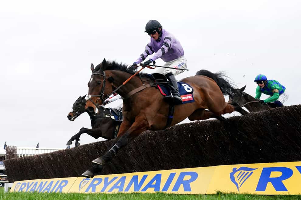 Stage Star was pulled up at Cheltenham on New Year’s Day (Tim Goode/PA)