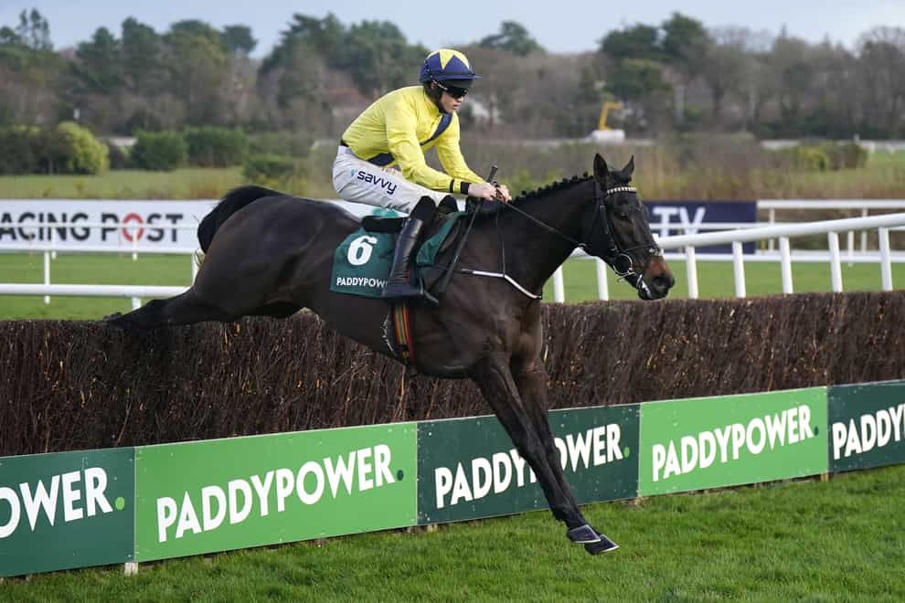 Marine Nationale made an impressive start over fences at Leopardstown (Niall Carson/PA)