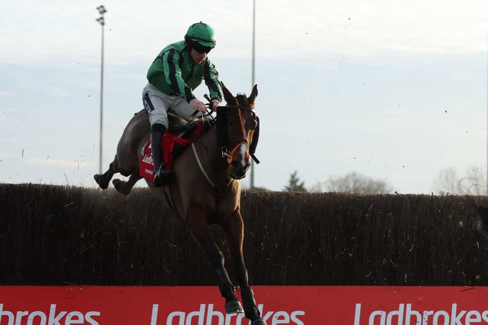 Hewick has the Gold Cup as his aim (Steven Paston/PA)