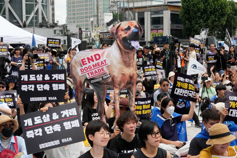 Animal rights activists stage a rally opposing South Korea’s traditional culture of eating dog meat in Seoul, South Korea in July (Ahn Young-joon/AP)