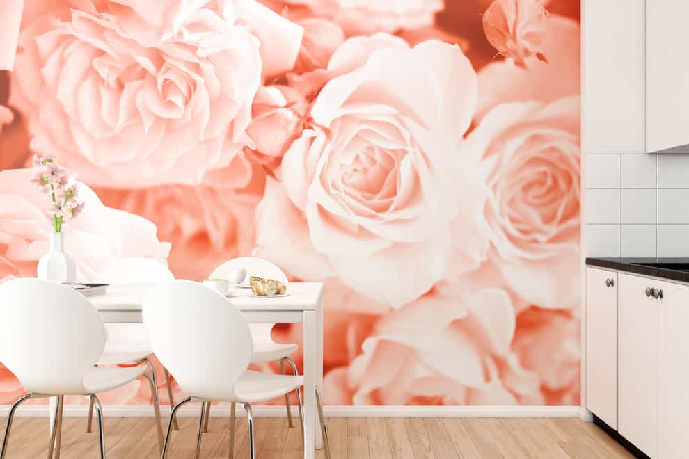 This warm pink-orange shade can be easily incorporated into your home decor (Go Wallpaper/PA)